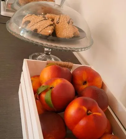 Bed & Breakfast Magnolia Room&breakfast Faenza